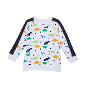 Chaser Dino Sweater Boys 12 White Graphic Print Stretch Crewneck Pullover GBO166